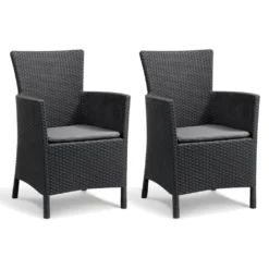 Allibert Garten-Essstühle 2 Stk. Iowa Graphitgrau 215526