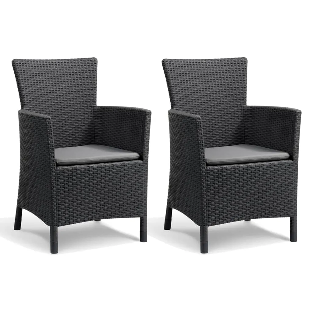 Allibert Garten-Essstühle 2 Stk. Iowa Graphitgrau 215526