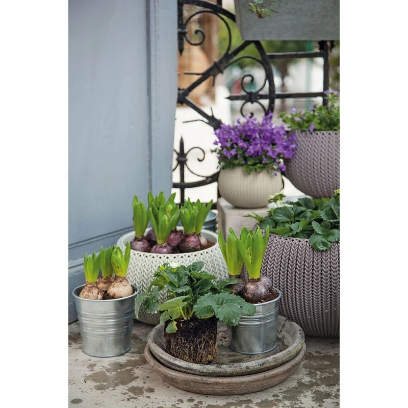 KETER COZIES S Pflanzenampel, 28 X 28 X 18 Cm, Sand 17201493 – Bild 3