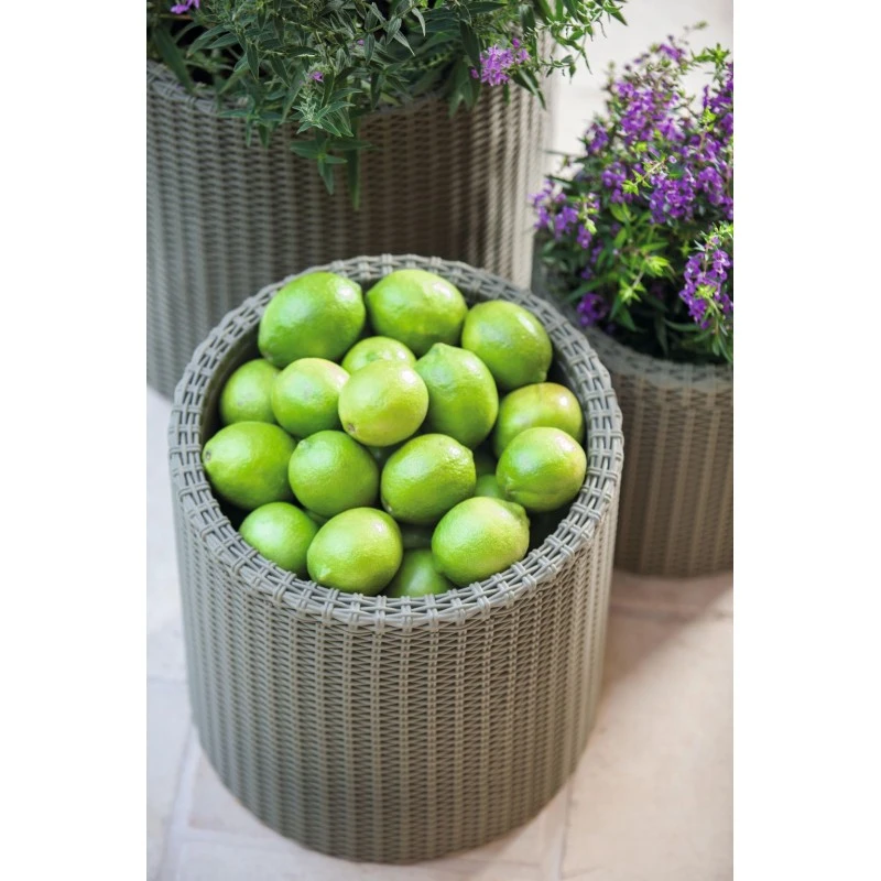 KETER MEDIUM CYLINDER Pflanzkübel, 36 X 36 X 37,3 Cm, Silbergrau 17197835 – Bild 2