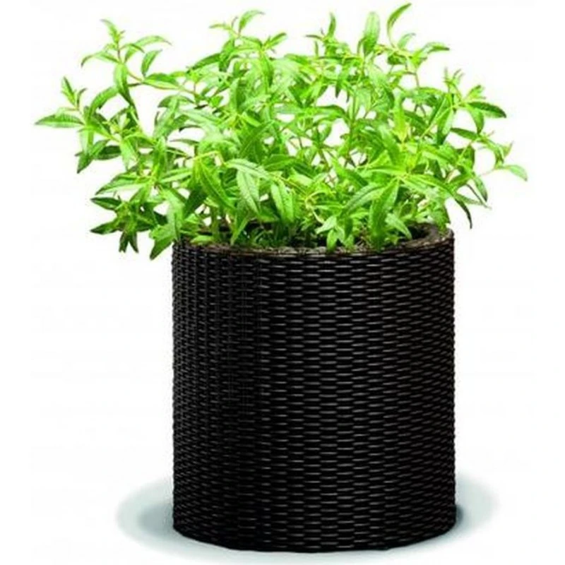 KETER MEDIUM CYLINDER Pflanzkübel, 36 X 36 X 37,3 Cm, Braun 17197835 – Bild 2